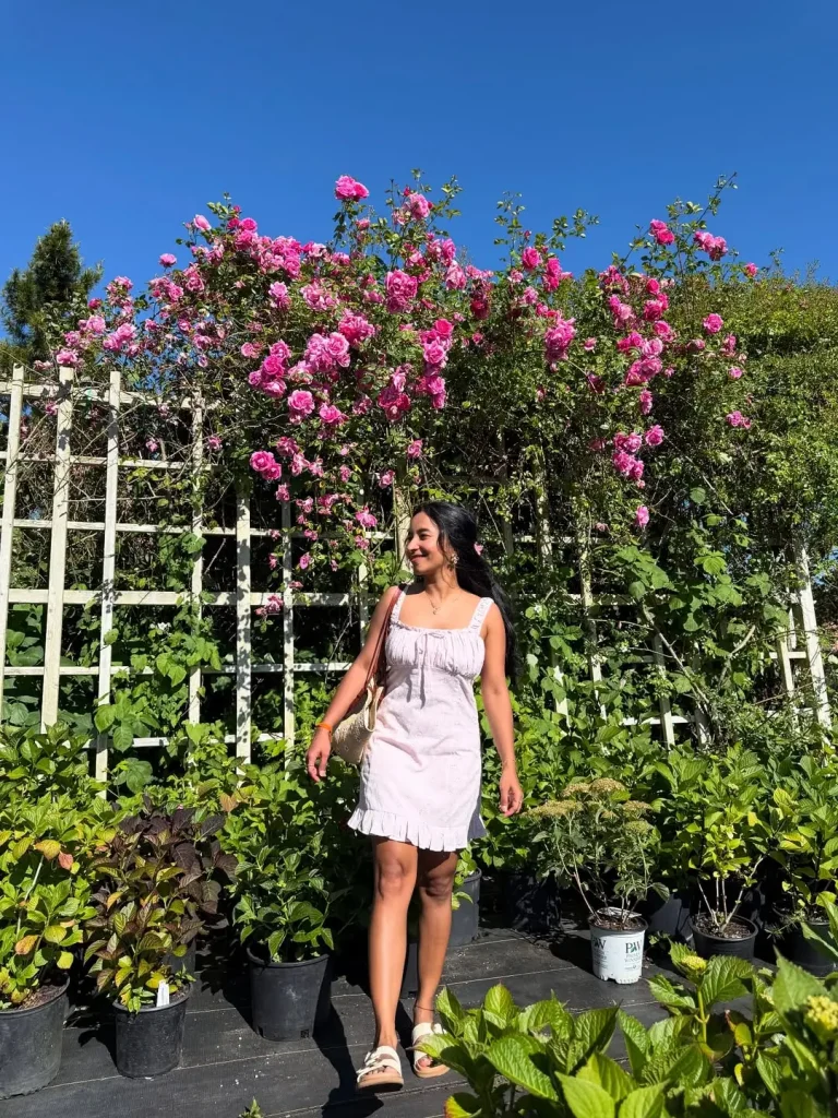 Summer Clothes Essentials 2026: Effortless Outfits You’ll Wear on Repeat