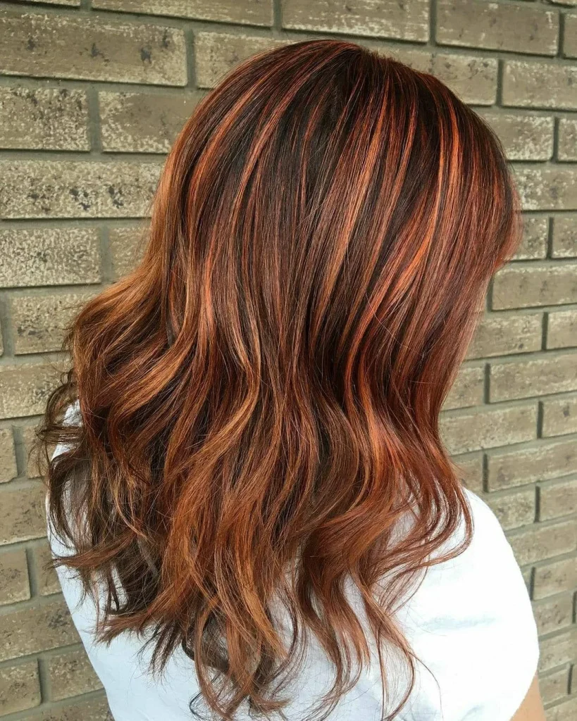 Salon Summer Burnt Sienna Hair Color Ideas for 2026