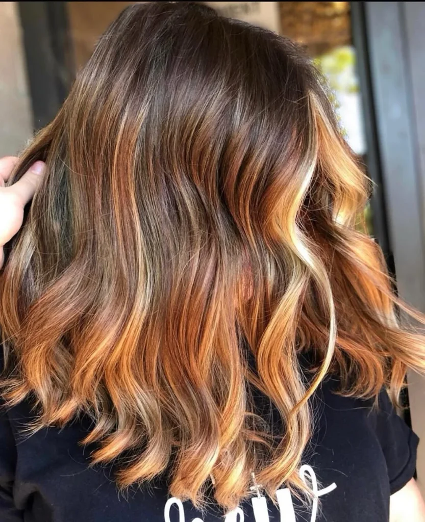 Salon Summer Burnt Sienna Hair Color Ideas for 2026