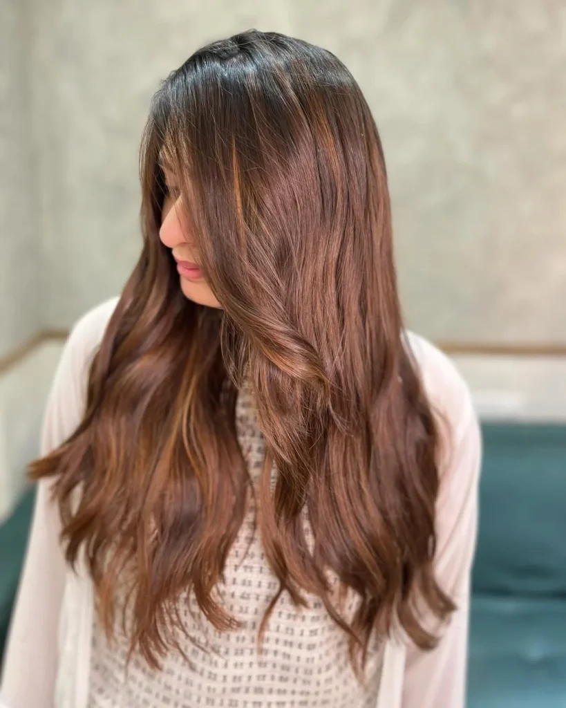 Salon Summer Burnt Sienna Hair Color Ideas for 2026