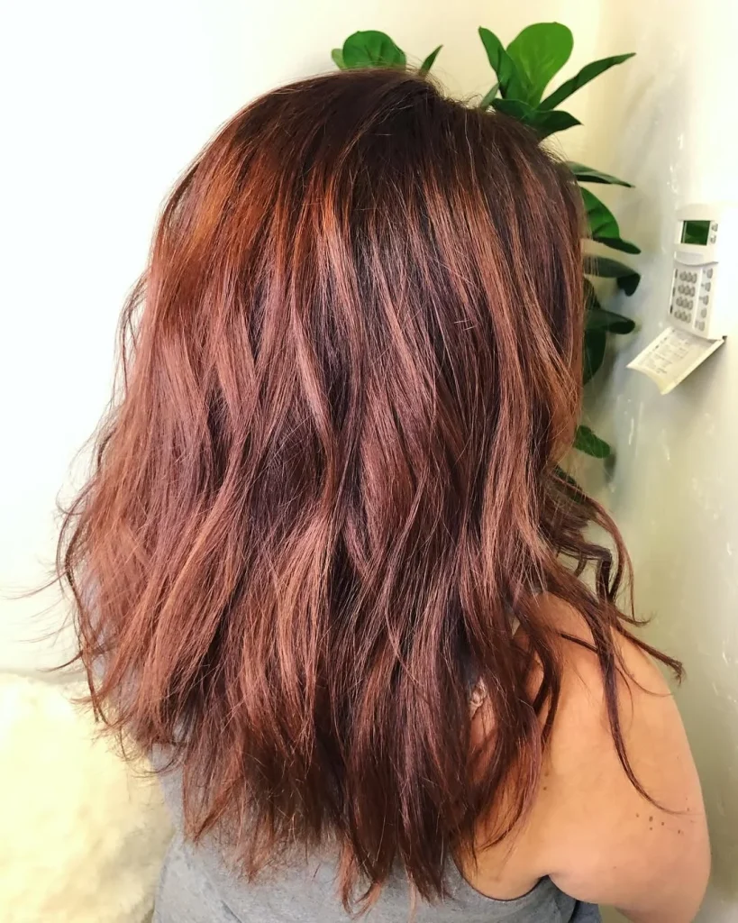 Salon Summer Burnt Sienna Hair Color Ideas for 2026