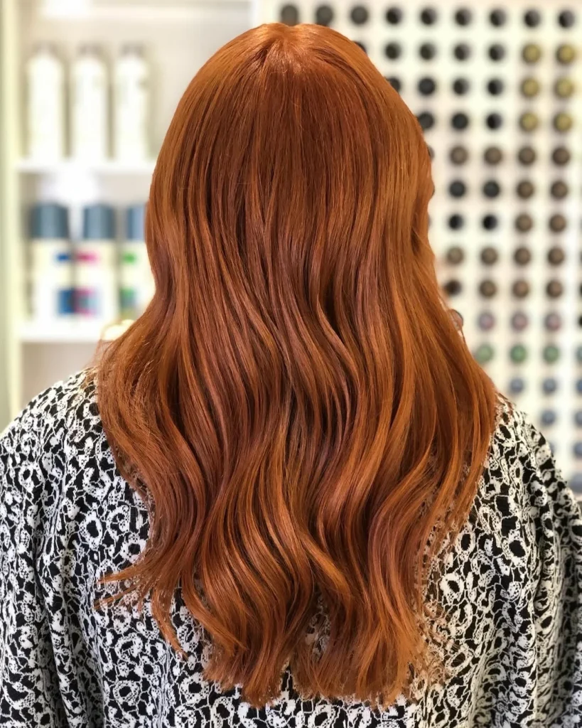 Salon Summer Burnt Sienna Hair Color Ideas for 2026
