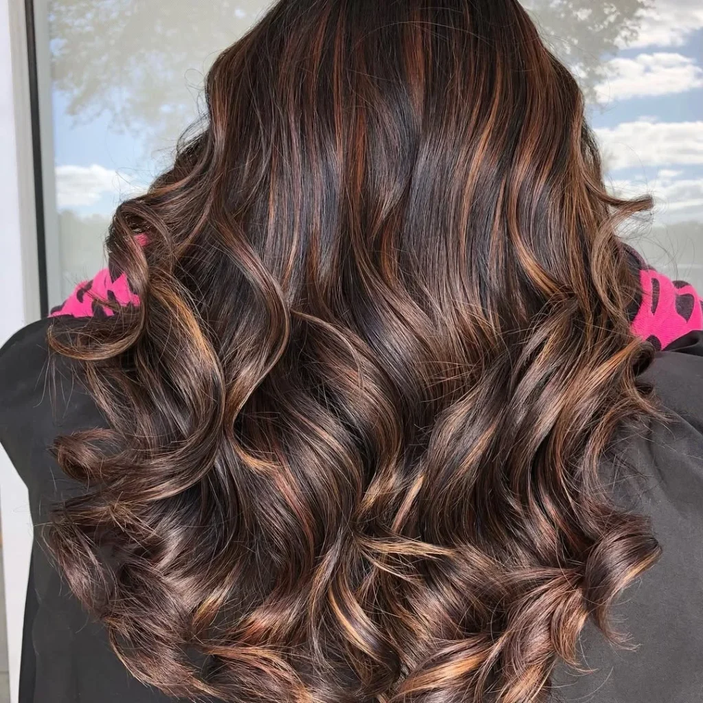 Salon Summer Burnt Sienna Hair Color Ideas for 2026