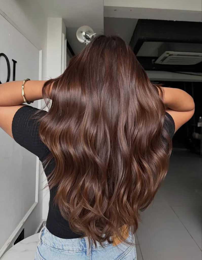 Salon Summer Burnt Sienna Hair Color Ideas for 2026