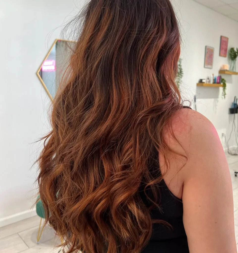 Salon Summer Burnt Sienna Hair Color Ideas for 2026
