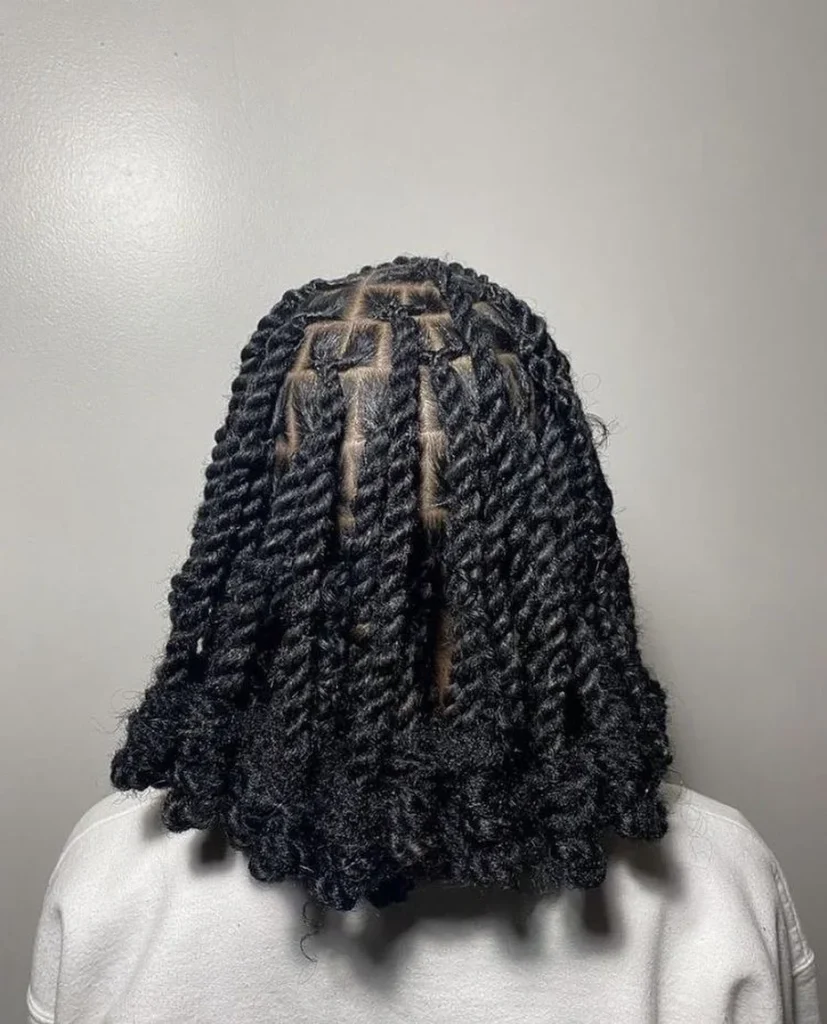 Salon Summer Hairstyle Black Women 2026: Trendy Braids, Natural Curls & Sleek Looks