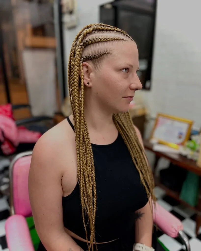 Stylish Summer Braids Hairstyle 2026: Trendy Summer Hairstyle Braids Ideas for Every Hair Type