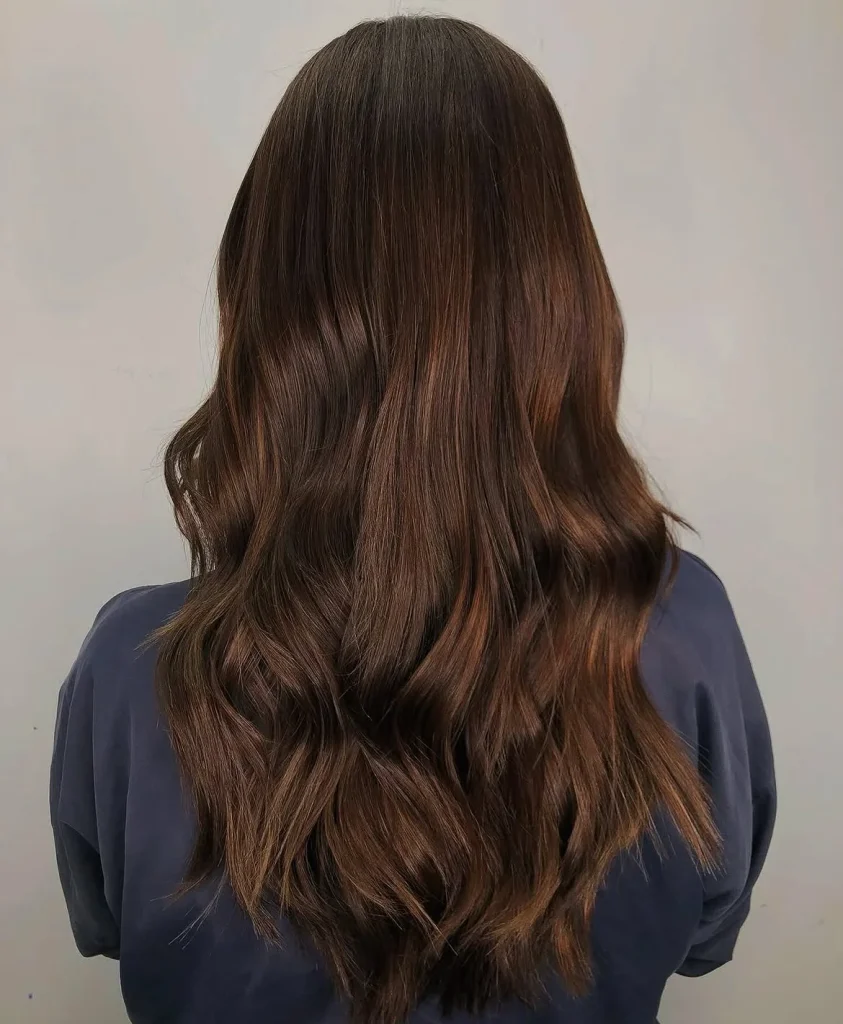Chestnut Brown Hair Color: 26 Gorgeous Ideas for Rich, Glossy Brunette Hair